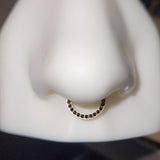 Titanium Front Facing Gems Hinged Ring