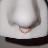 Titanium Front Facing Gems Hinged Ring