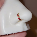 Titanium Double Row Micro Gems Hinged Nose Hoop
