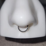 Titanium Front Facing Gems Hinged Ring