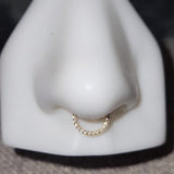 Titanium Front Facing Gems Hinged Ring