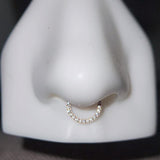 Titanium Front Facing Gems Hinged Ring