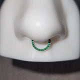 Titanium Front Facing Gems Hinged Ring